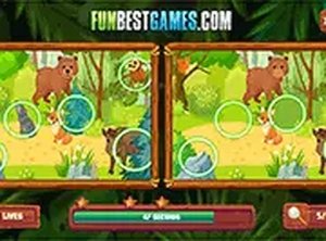 Find the Animal Changes